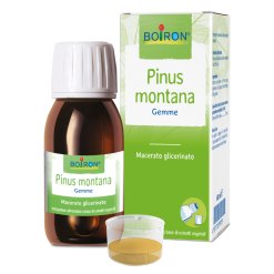 PINUS MONTANA MACERATO GLICERICO 60 ML INT