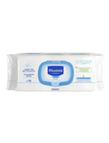 Salviette detergenti 70 pezzi Salviette detergenti 70 pezzi