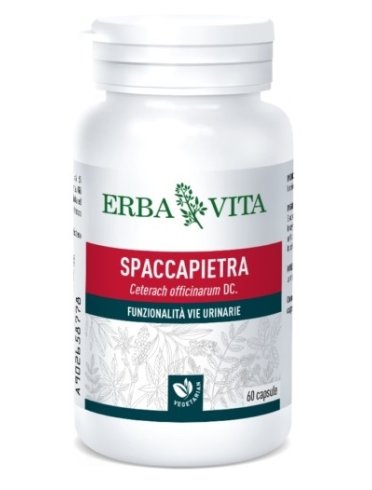 Spaccapietra 60 capsule