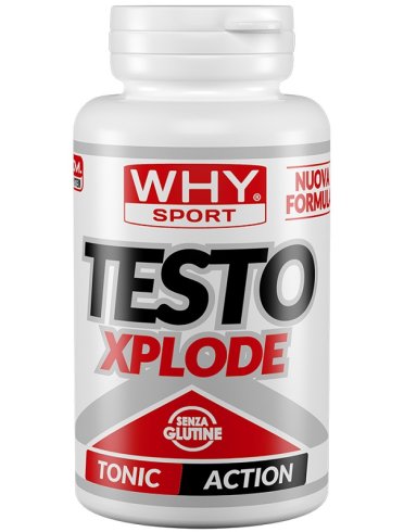 Whysport testo xplode 90cpr nf Whysport testo xplode 90cpr nf