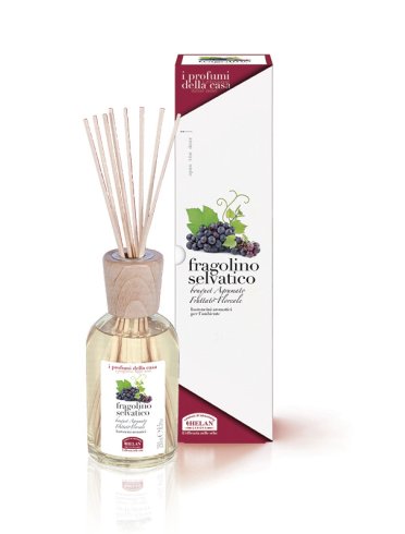 I profumi della casa fragolino selvatico-bastoncini aromatici 100 ml