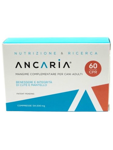 Ancaria 60 cpr