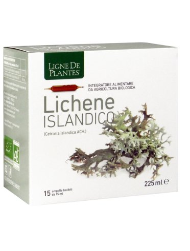 Lichene islandico 15ampx15ml