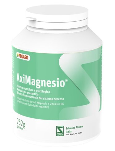 Aximagnesio polvere 252 g