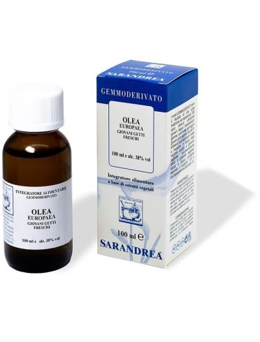 Extragem olivo giovani getti