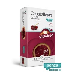 VIDAFREE CROSTALLEGRA ALBICOCCA SENZA LATTOSIO 180 G