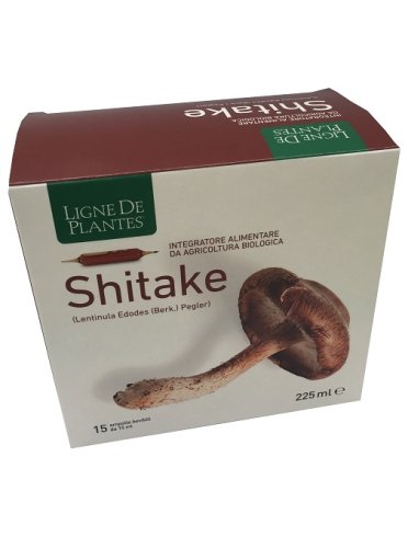 Ligne shitake bio 15amp 15ml