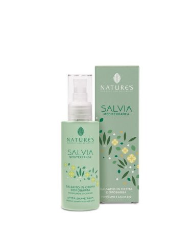 Salvia mediterranea dopobarba Salvia mediterranea dopobarba