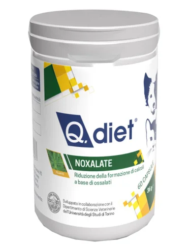 Noxalate compresse 60 compress Noxalate compresse 60 compress
