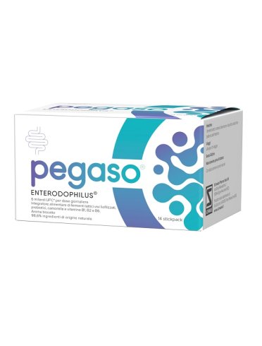 Pegaso enterodophilus 14stickp Pegaso enterodophilus 14stickp