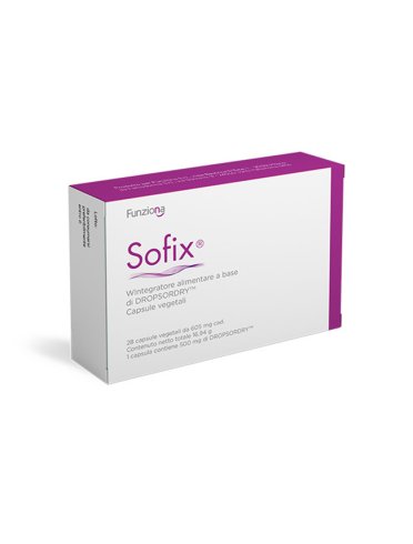 Sofix 28 capsule