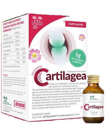 Cartilagea salugea 18fl Cartilagea salugea 18fl