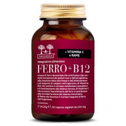 FERRO+B12 SALUGEA 60CPS