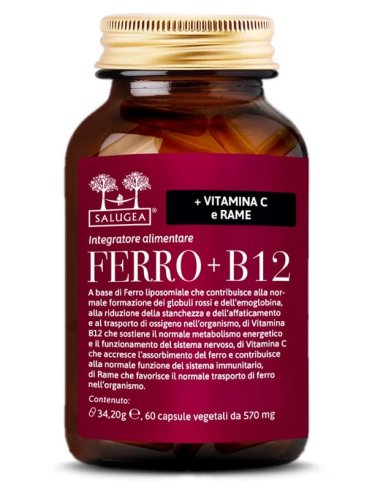 Ferro+b12 salugea 60cps