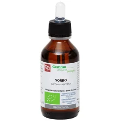 SORBO MG BIO 100ML