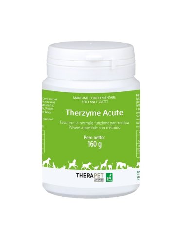 Therzyme acute polvere 160 gr