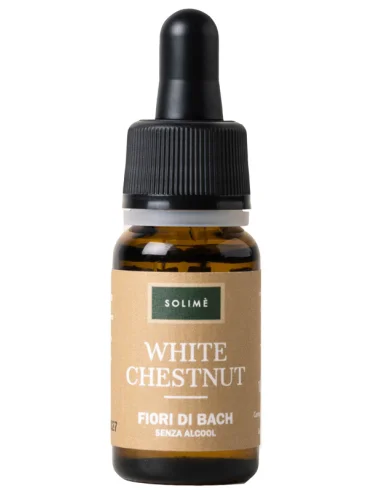 White chestnut 10ml White chestnut 10ml