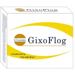 GIXOFLOG 16 BUSTINE