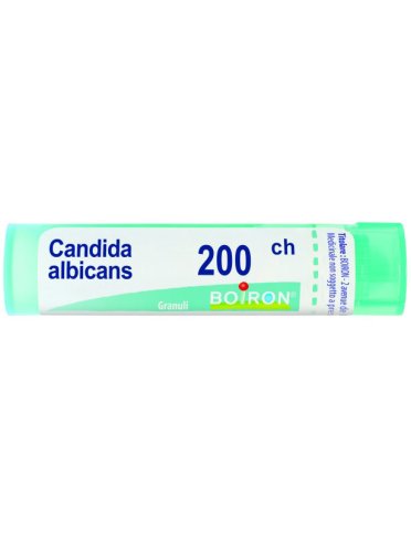 Candida albicans 200ch granuli