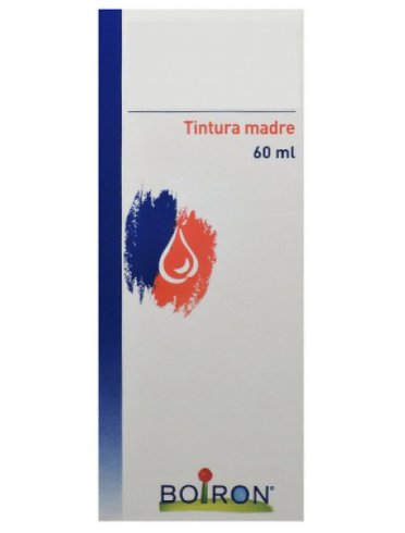 Thuya occidentalis tintura madre 60 ml