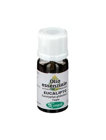 Eucalipto olio essenziale 10ml