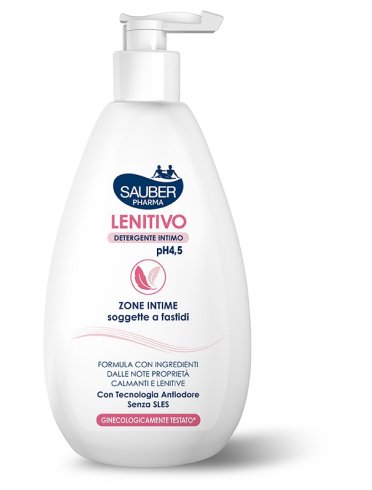 Sauber detergente int len500ml