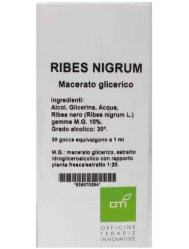 Ribes nigrum macerato glicerico 10% gocce da 100ml Ribes nigrum macerato glicerico 10% gocce da 100ml