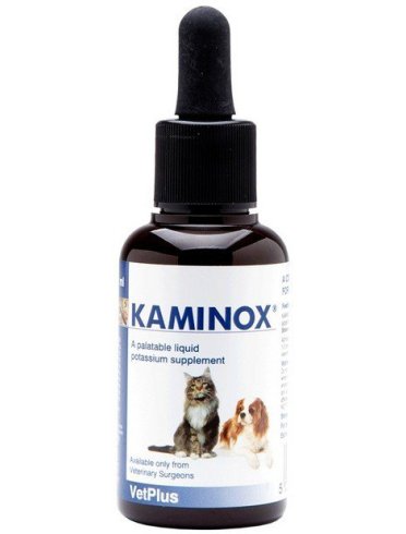 Kaminox sciroppo 60 ml