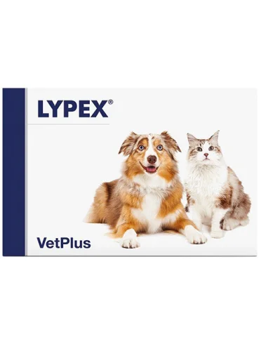Lypex 60cps Lypex 60cps