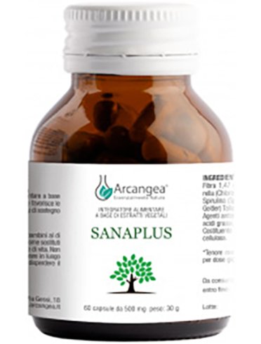 Sanaplus 60 capsule