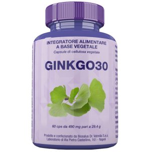 GINKGO30 60 CAPSULE 27 G