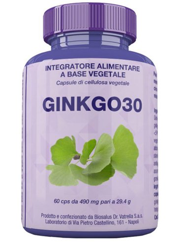 Ginkgo30 60 capsule 27 g