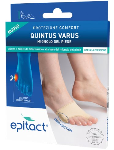 Epitact prot quintus var pie s