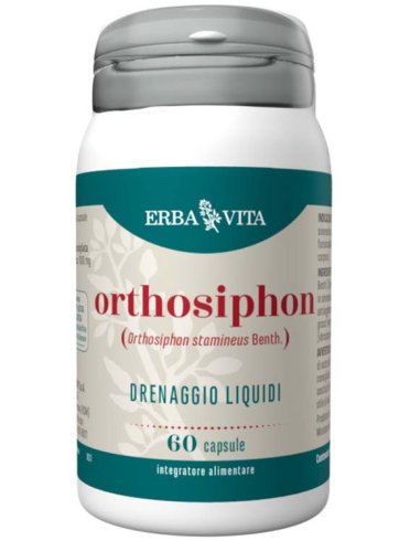 Orthosiphon 60 capsule Orthosiphon 60 capsule
