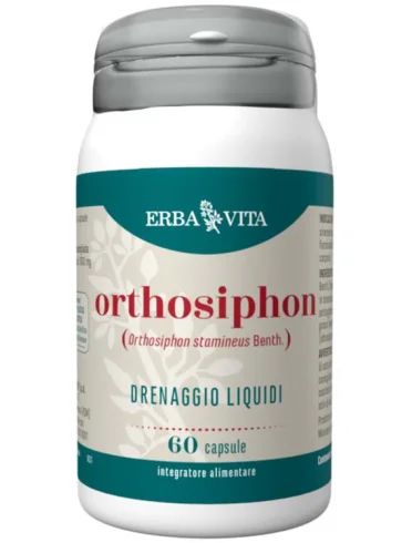 Orthosiphon 60 capsule Orthosiphon 60 capsule
