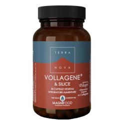 TERRANOVA VOLLAGENE&SILIC50CPS