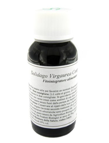 Lvs 07n solidago virgaurea compositum Lvs 07n solidago virgaurea compositum