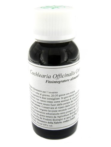 Lvs 11n cochlearia officinalis compositum Lvs 11n cochlearia officinalis compositum