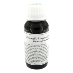 LVS 19N ALCHEMILLA VULGARIS COMPOSITUM