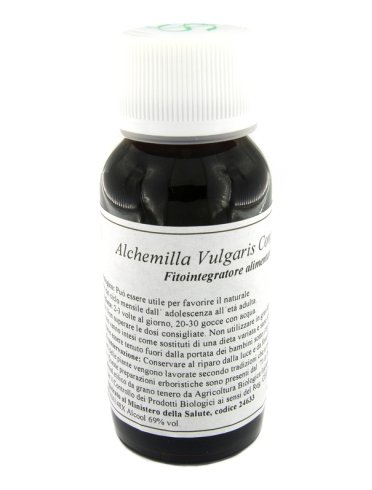 Lvs 19n alchemilla vulgaris compositum Lvs 19n alchemilla vulgaris compositum