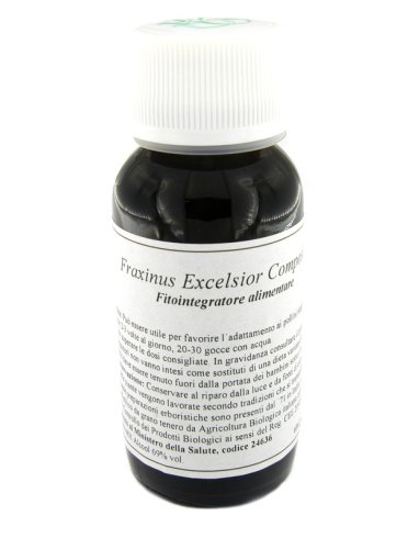 Lvs 22n fraxinus excelsior compositum Lvs 22n fraxinus excelsior compositum