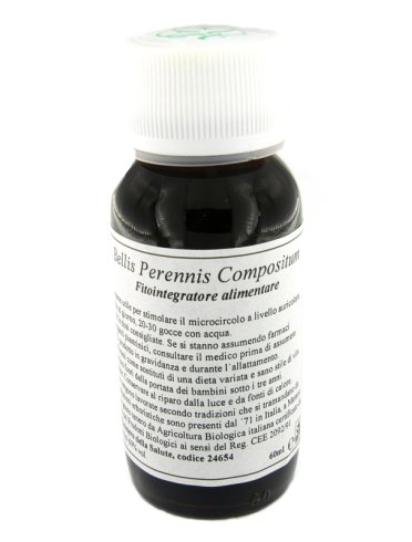Lvs 40n bellis perennis comp Lvs 40n bellis perennis comp