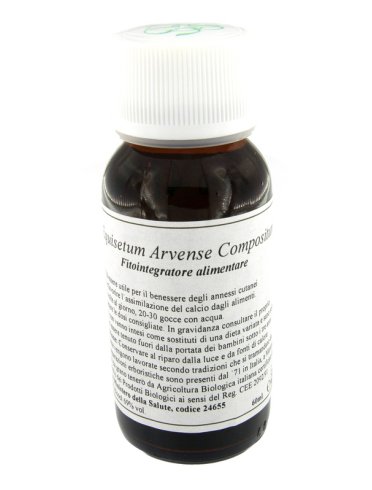 Lvs 41n equisetum arvense compositum Lvs 41n equisetum arvense compositum