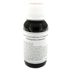 LVS 42S FUCUS VESICULOSUS COMPOSITUM
