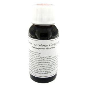 LVS 42S FUCUS VESICULOSUS COMPOSITUM