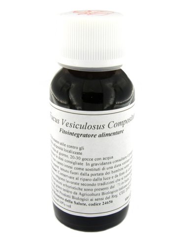 Lvs 42s fucus vesiculosus compositum Lvs 42s fucus vesiculosus compositum