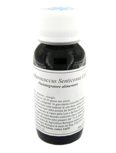 Lvs 45c eleutherococcus senticosus compositum Lvs 45c eleutherococcus senticosus compositum