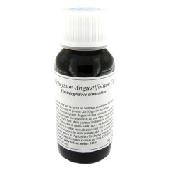 LVS 47C HELICHRYSUM ANGUST COM