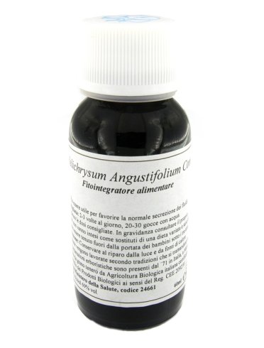 Lvs 47c helichrysum angust com Lvs 47c helichrysum angust com