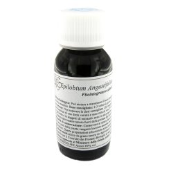 LVS 82C EPILOBIUM ANGUSTIF COM